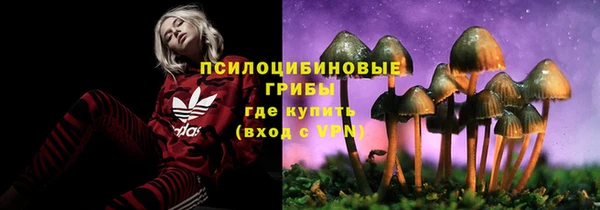 герыч Алексин